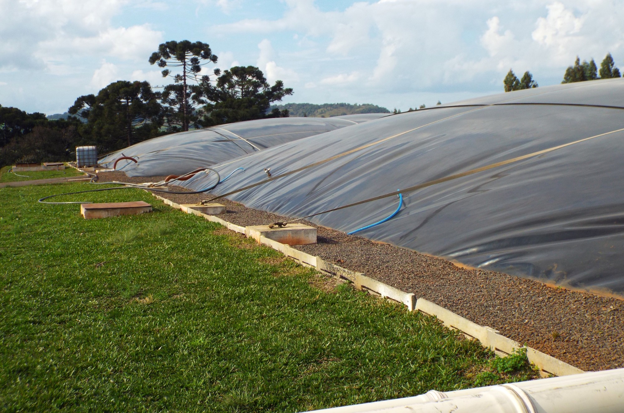 Embrapa Suínos e Aves tem sete cursos com inscrições abertas
