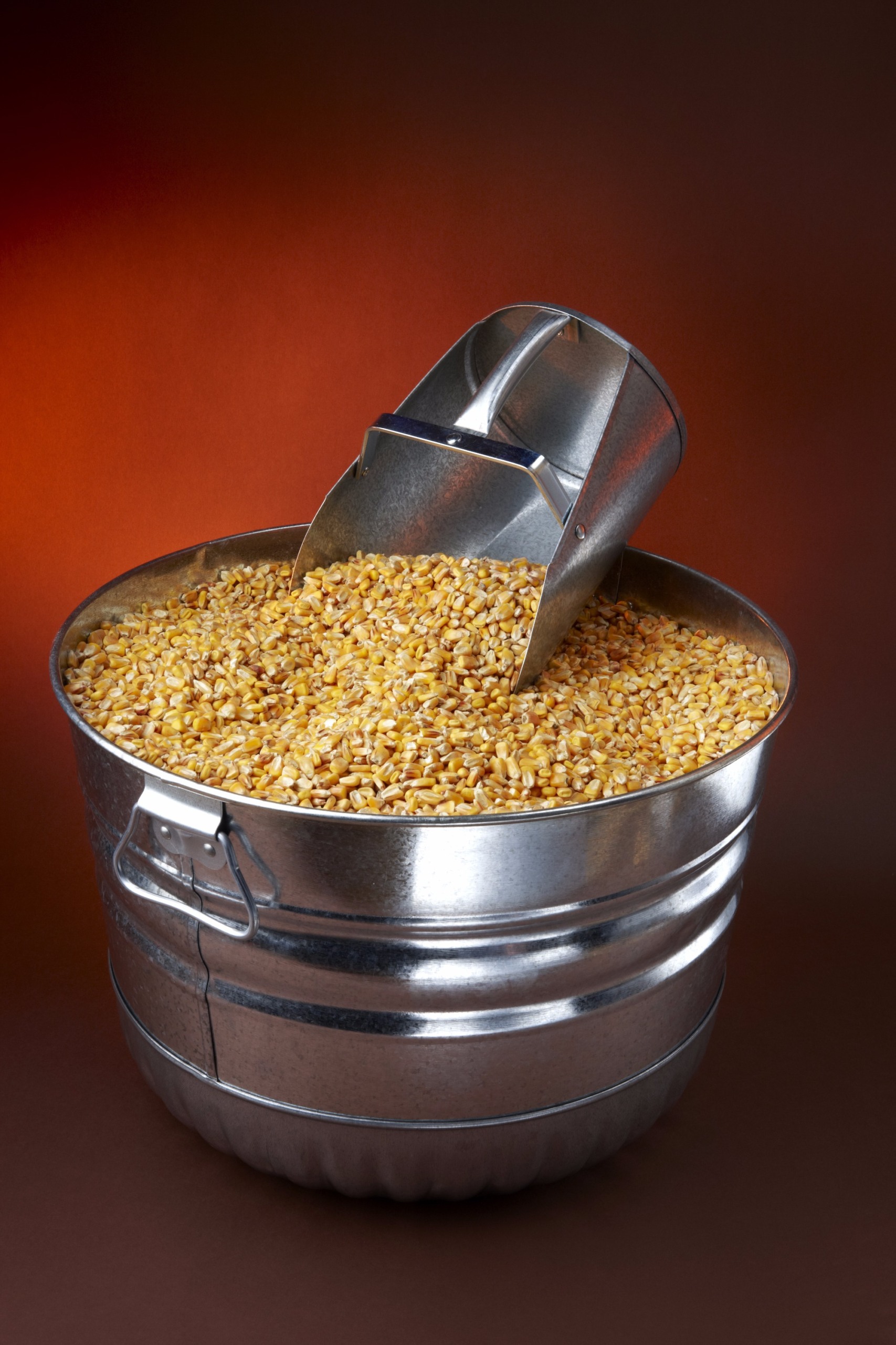 O desafio das micotoxinas: como melhorar a conservação dos grãos após a colheita