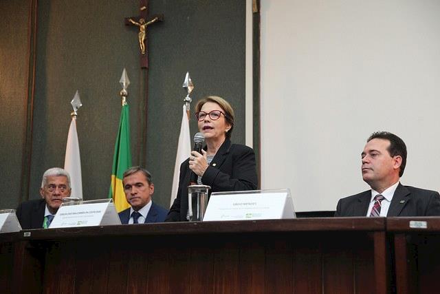 Ministra empossa diretoria da Conab e anuncia que parte dos armazéns será leiloada