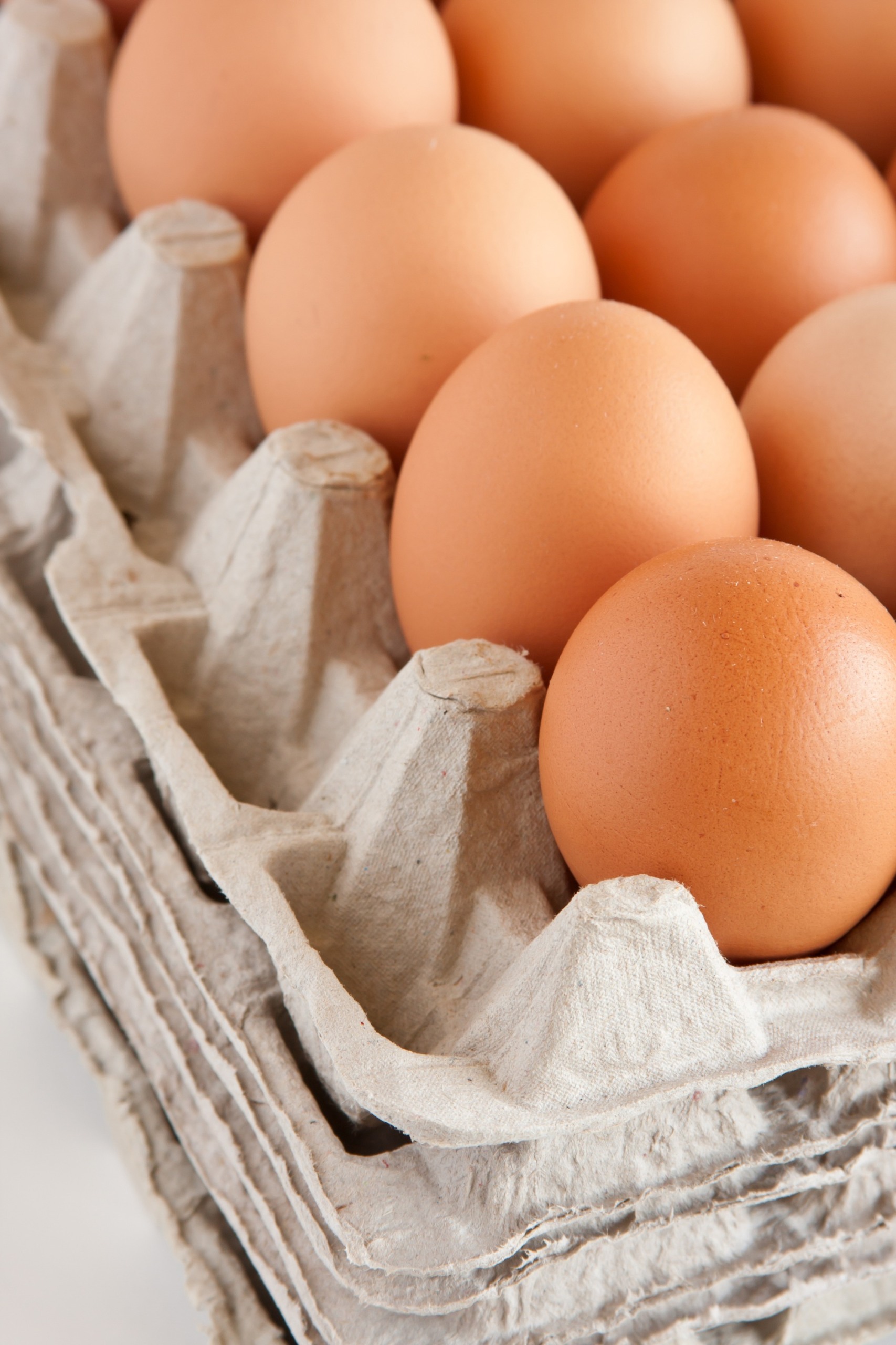 Preço de ovos dispara e tem maior alta em uma década no Brasil Preço de ovos dispara e tem maior alta em uma década no Brasil