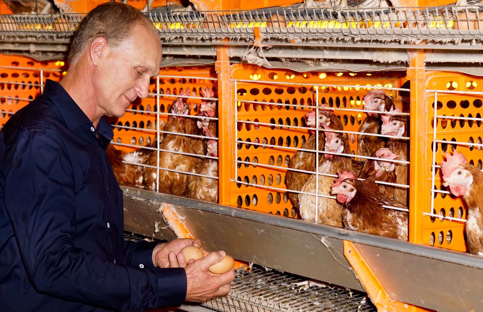 01-02-16CibiogasAjuricaba