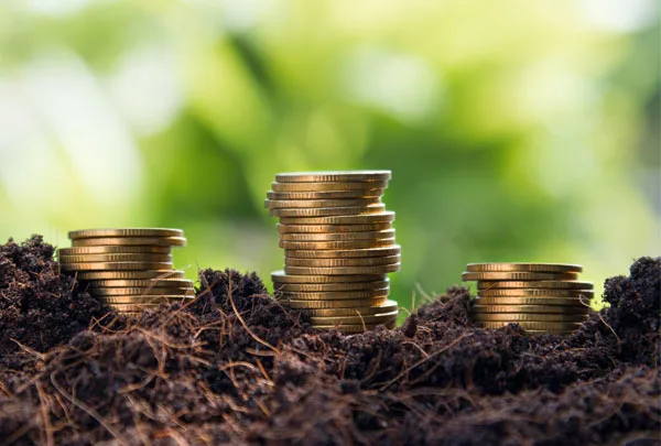 MDA assegura que próximo Plano Safra não terá falta de recursos para investimento MDA assegura que próximo Plano Safra não terá falta de recursos para investimento