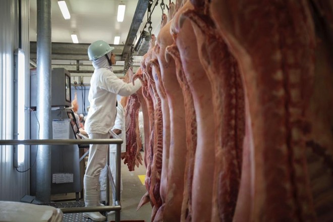 Receita com exportação de carne suína cresce quase 16% em 2017