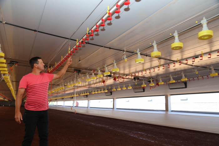 Avicultores buscam em cooperativas financiamento para investir no desenvolvimento da produção Avicultores buscam em cooperativas financiamento para investir no desenvolvimento da produção