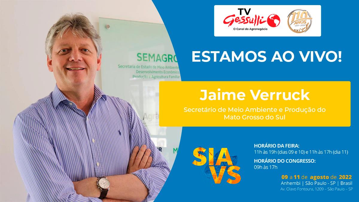 MS deve receber investimentos próximos de R$ 1 bi só na suinocultura