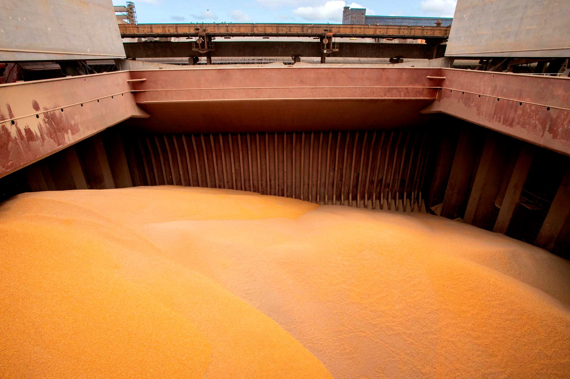 Conab contrata transporte para remoção de 12,3 mil toneladas de milho Conab contrata transporte para remoção de 12,3 mil toneladas de milho