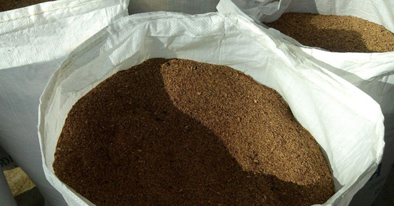 Biomassas e resíduos são temas do V EnPI