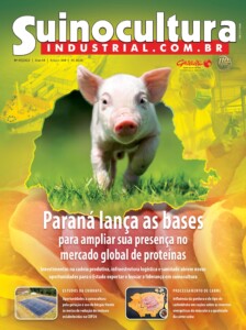 Edição 304 Edição 304