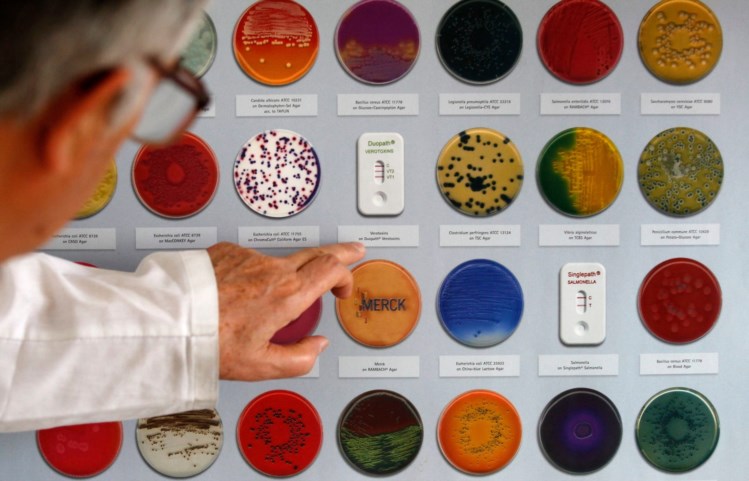 Luz que mata bactérias surge como alternativa aos antibióticos