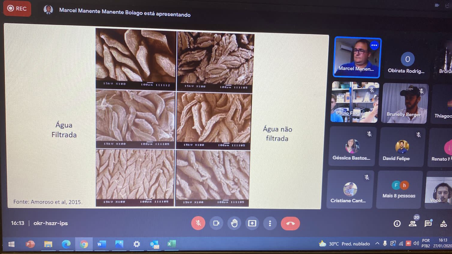 Club 360 da Vetanco trata sobre a importância da saúde intestinal em postura comercial