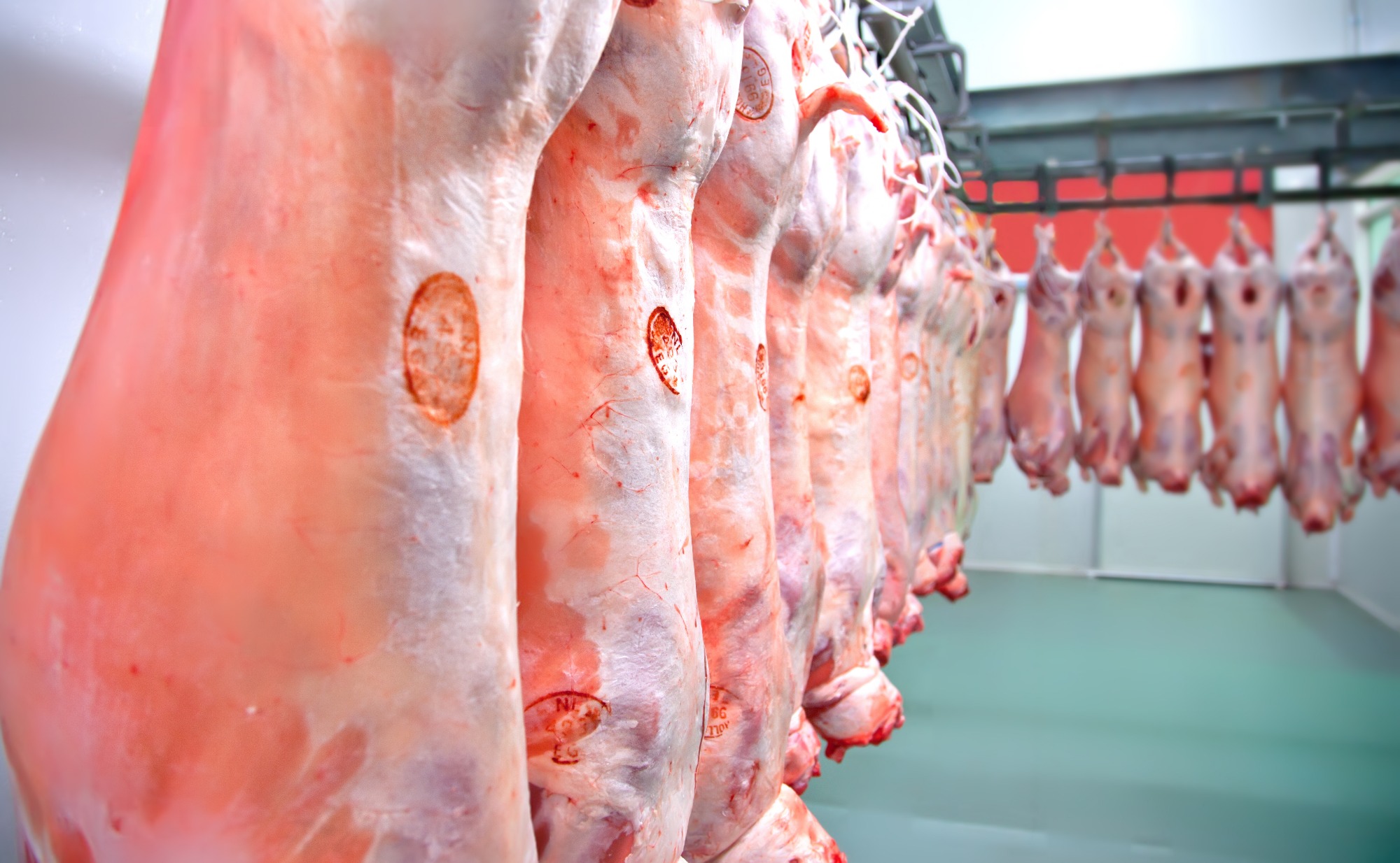 ASEMG apresenta planta de abatedouro modular