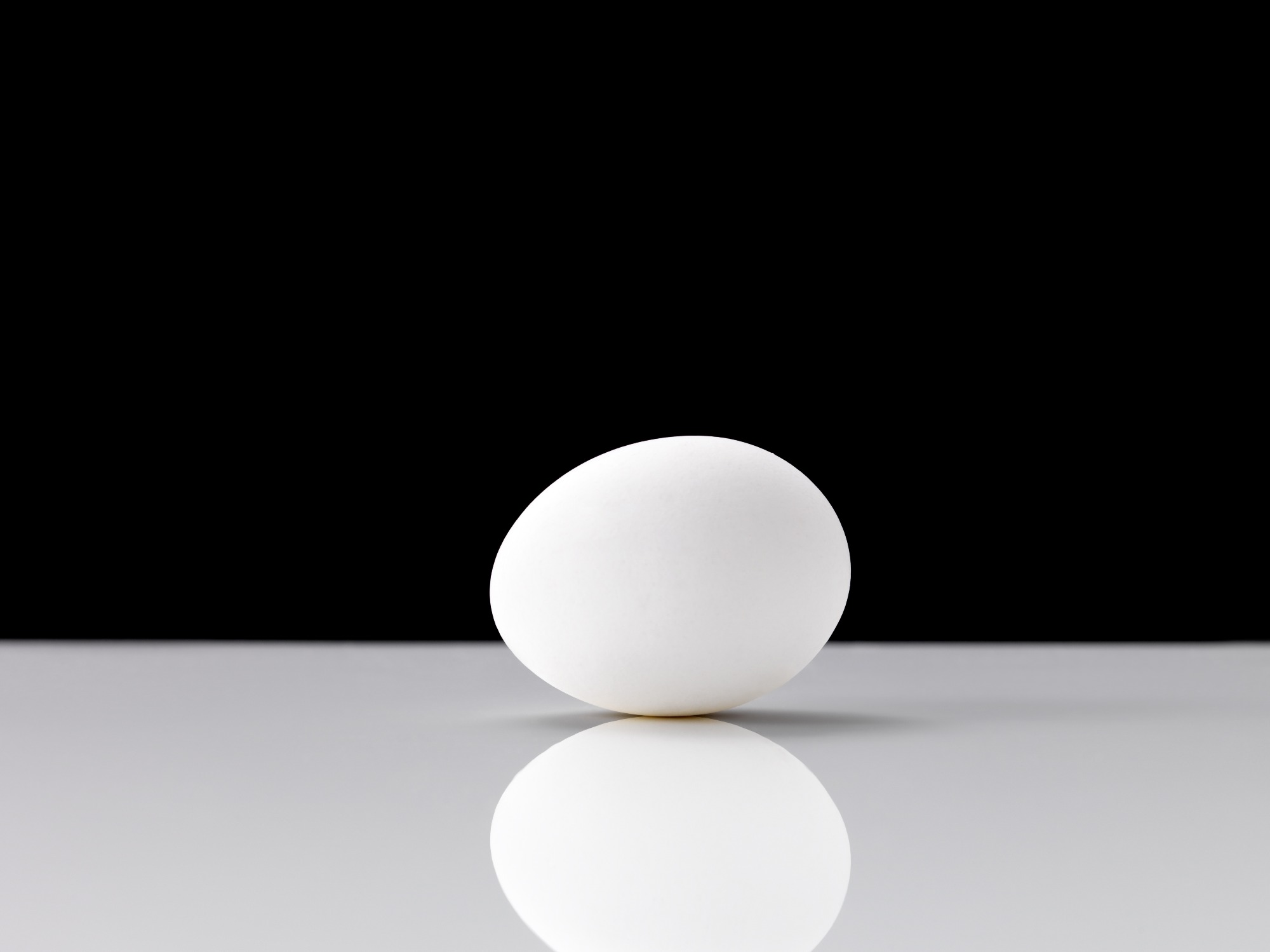 Brasil vai exportar ovos livres de patógenos para o México