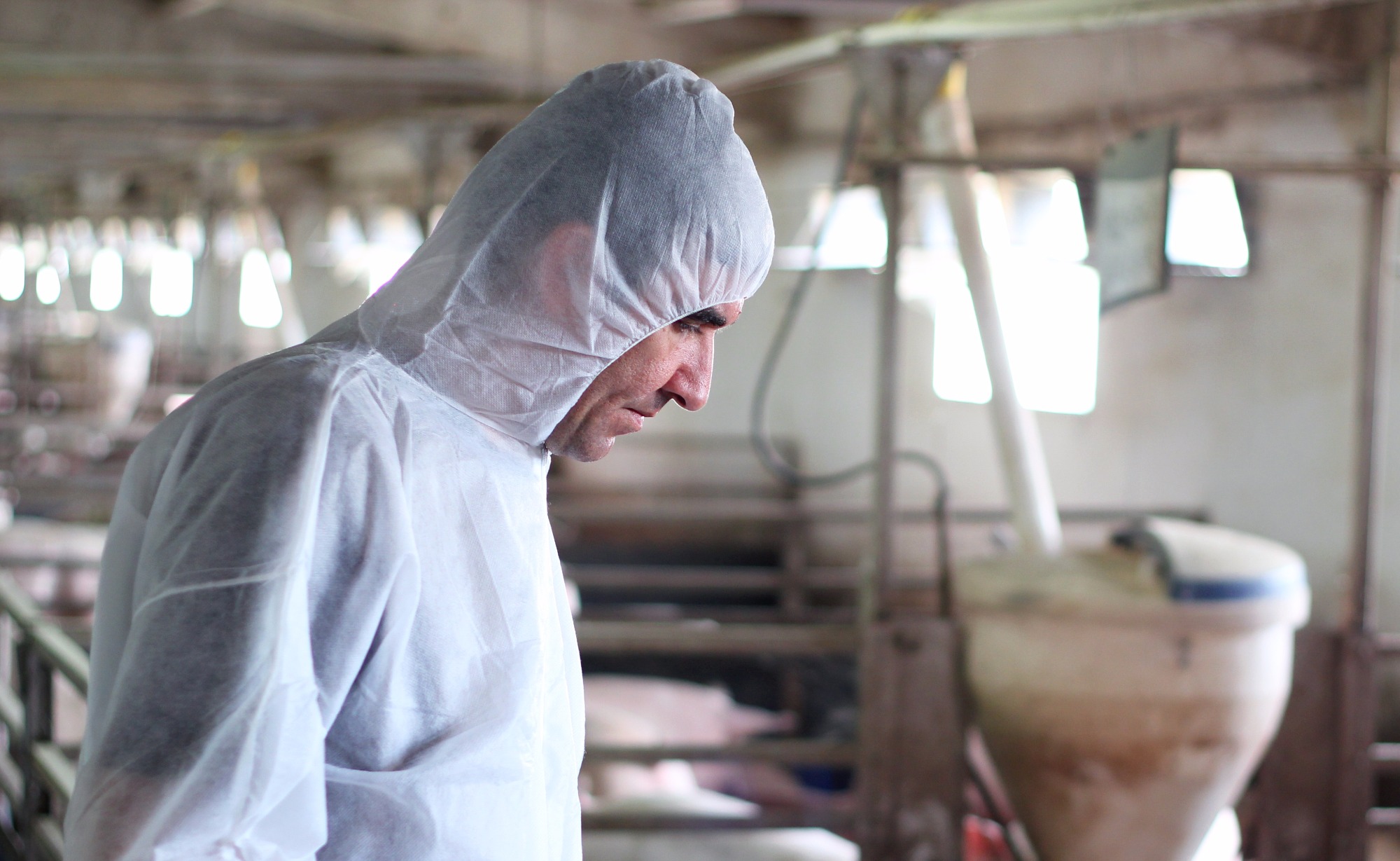O novo papel do médico veterinário na agroindústria