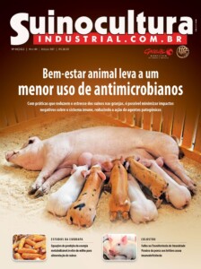 Edição 307 Edição 307