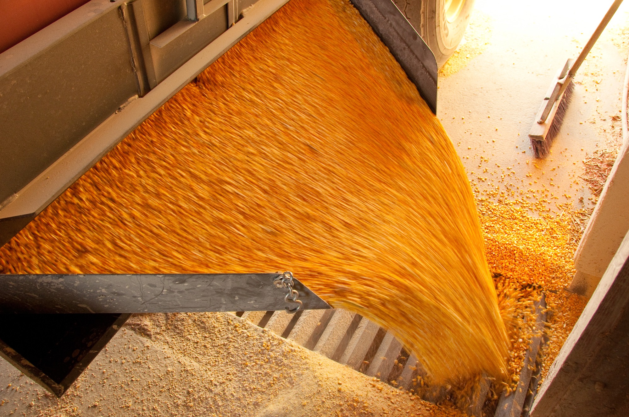 Embargo da UE afeta produção de ração e demanda por grãos Embargo da UE afeta produção de ração e demanda por grãos