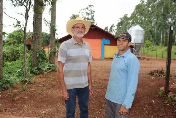 Paranaense bate recorde no preço pago por cabeça de frango em cooperativa