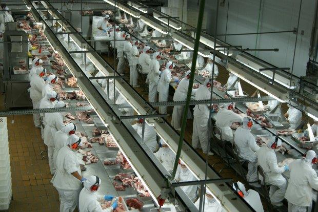 Santa Catarina retoma crescimento nas exportações de carne de frango em maio Santa Catarina retoma crescimento nas exportações de carne de frango em maio