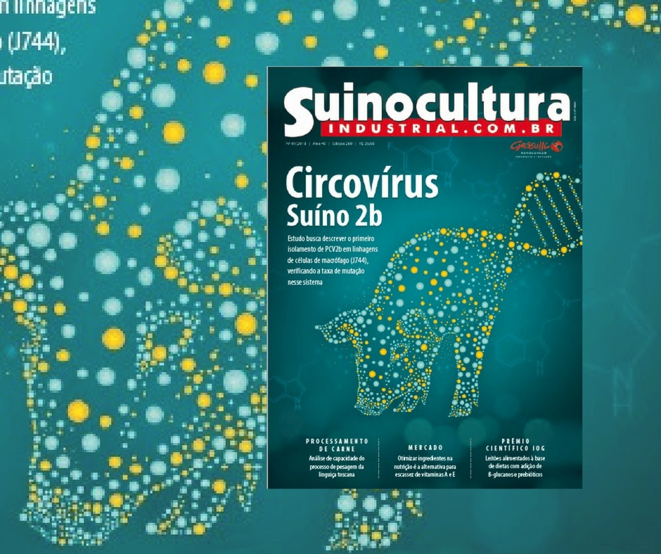 Circovírus suíno 2b: isolamento e taxa de mutação em linhagem de célula de macrófagos