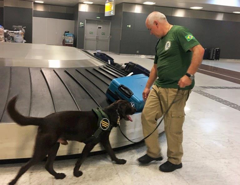 Mais de 178 quilos de produtos são apreendidos pela fiscalização agropecuária no aeroporto de Guarulhos