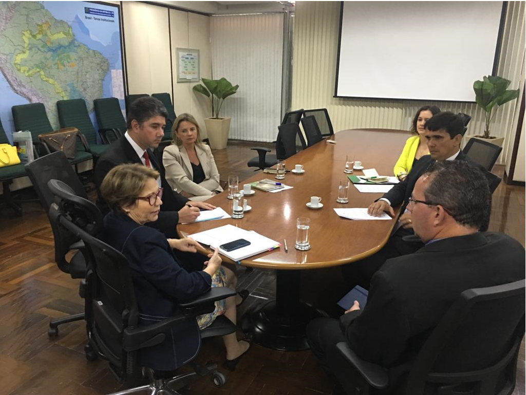 ABCS apresenta prioridades da suinocultura à nova ministra da Agricultura