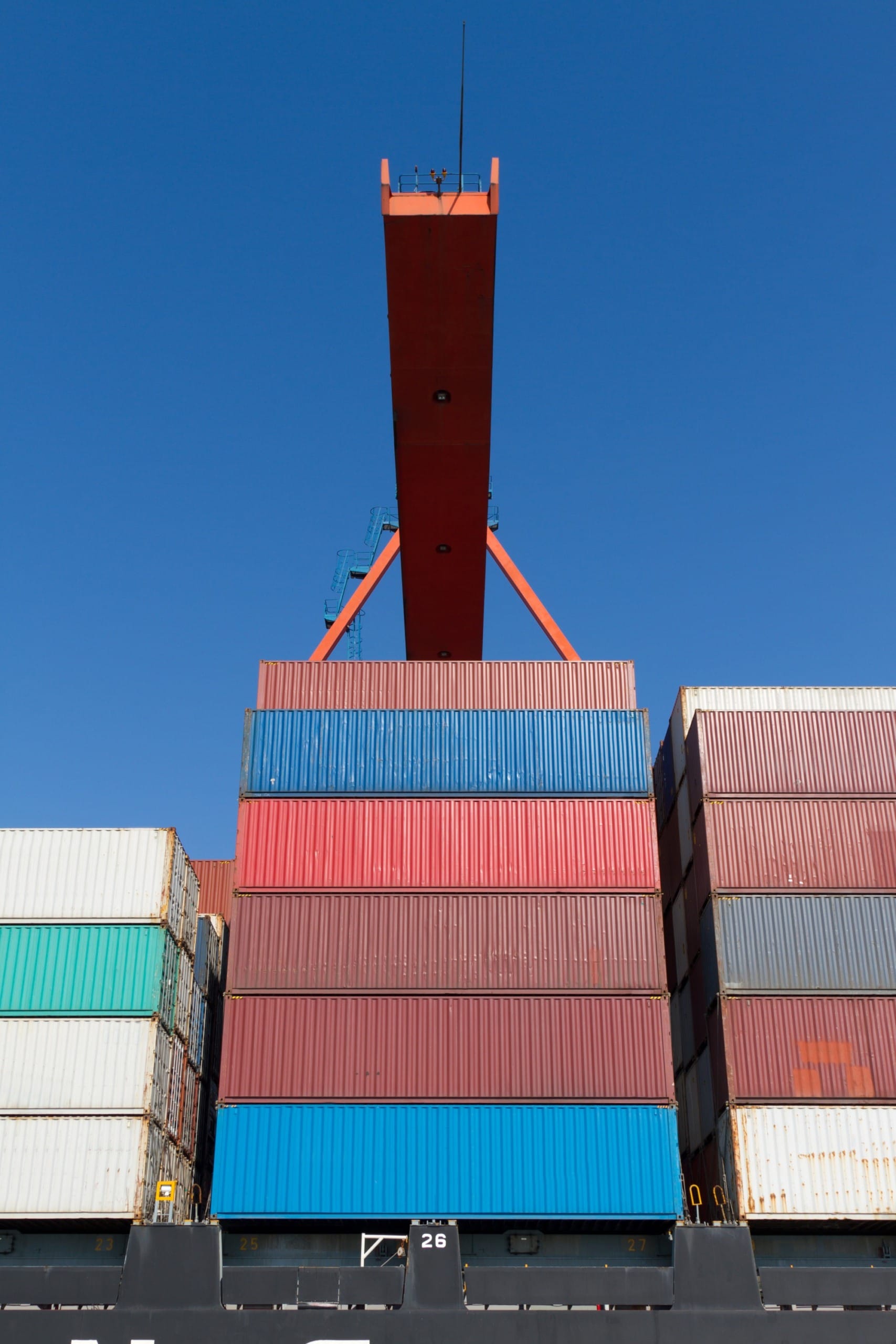 Avicultores da República Dominicana argumentam que não há necessidade de importar frangos