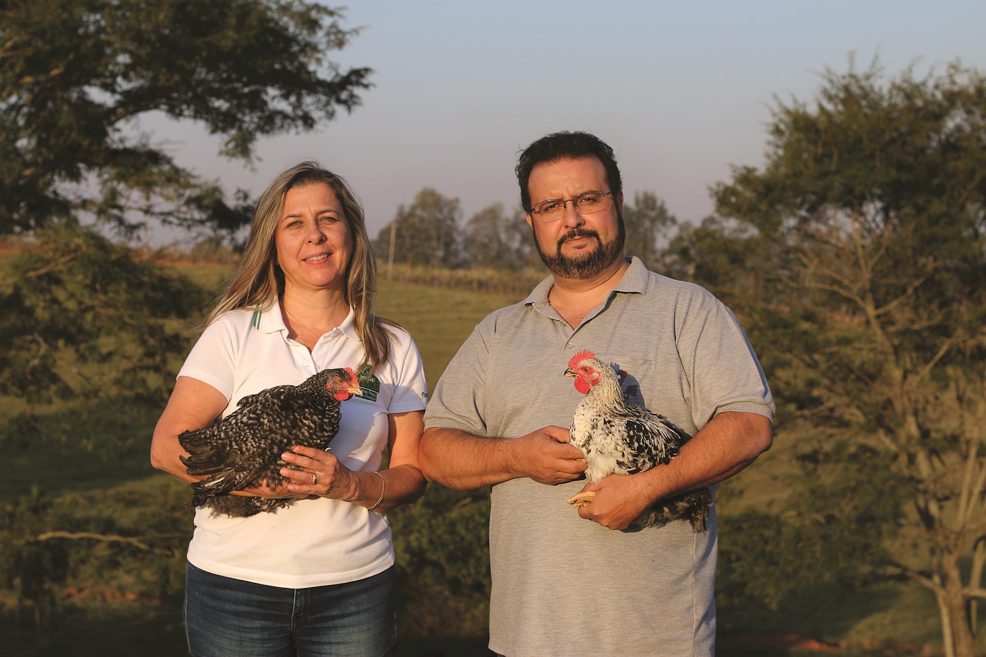 Produtor expande para o varejo e cresce 20% com venda de frango caipira