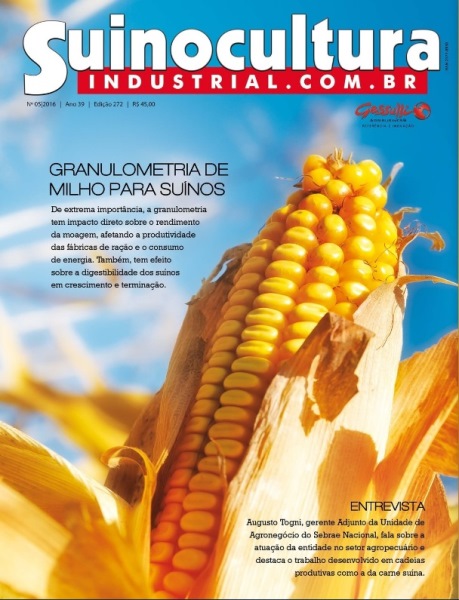 Edição 272 Edição 272