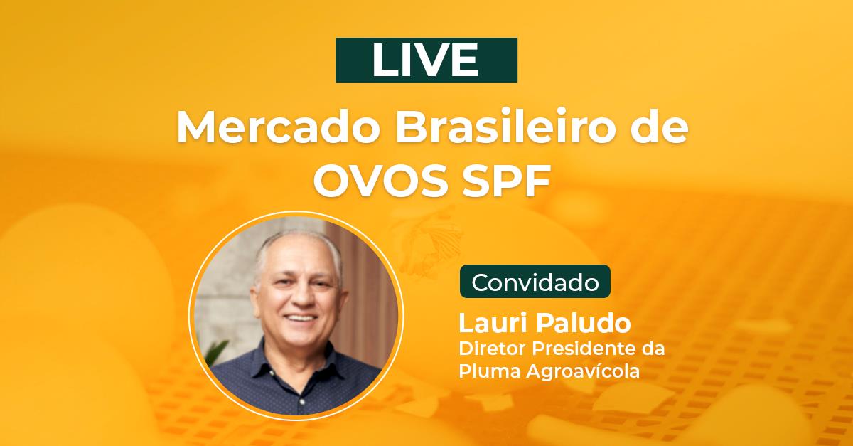É HOJE: Na TV Gessulli, diretor presidente da Pluma Agroavícola debate o mercado brasileiro de ovos férteis É HOJE: Na TV Gessulli, diretor presidente da Pluma Agroavícola debate o mercado brasileiro de ovos férteis