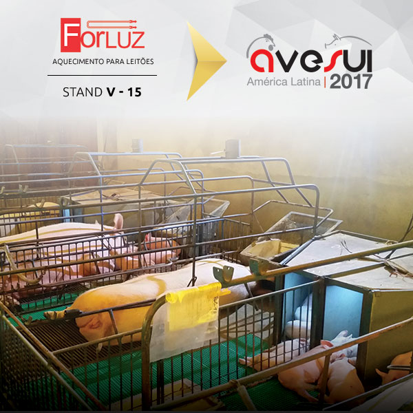 Sistema de aquecimento para leitões funciona como efeito estufa