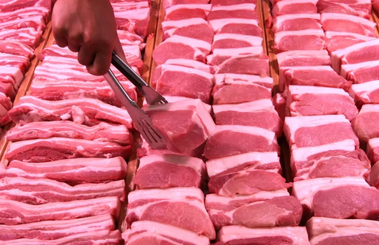 Exportações de carne suína: média mensal supera 100 mil toneladas em agosto