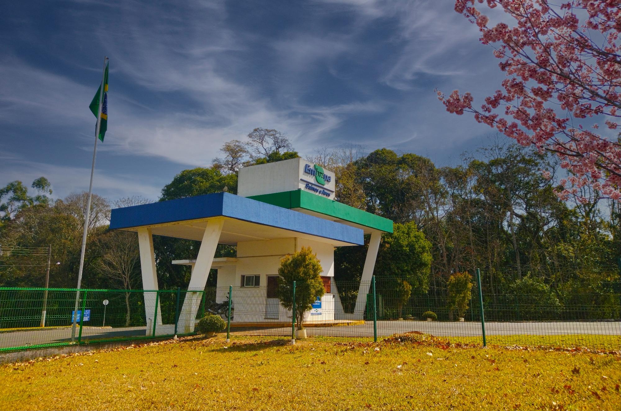 Embrapa coordena painel inovador na AveSui 2023 Embrapa coordena painel inovador na AveSui 2023