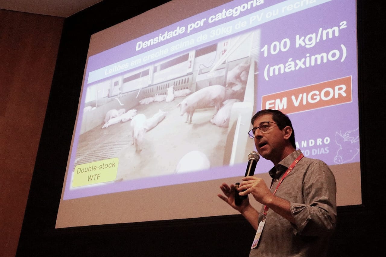 Cleandro Dias aborda impactos da IN 113/2020 na produção nacional suinícola