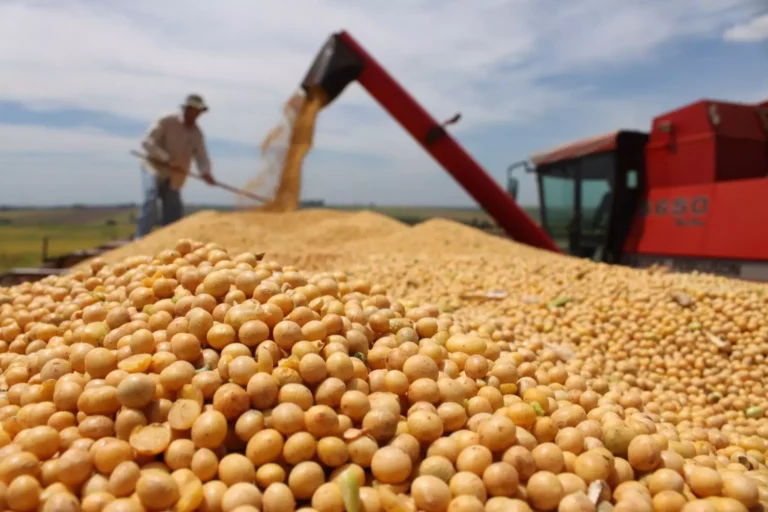 Setores de milho e soja do Brasil, Argentina e Paraguai protestam contra o Green Deal