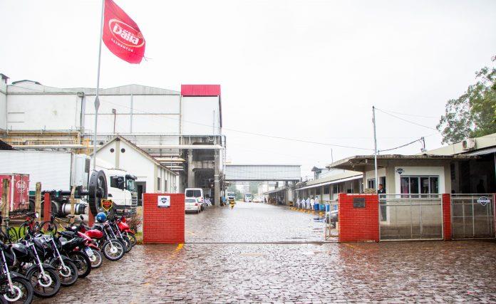 Dália Alimentos retoma abate de suínos em frigorífico após enchente