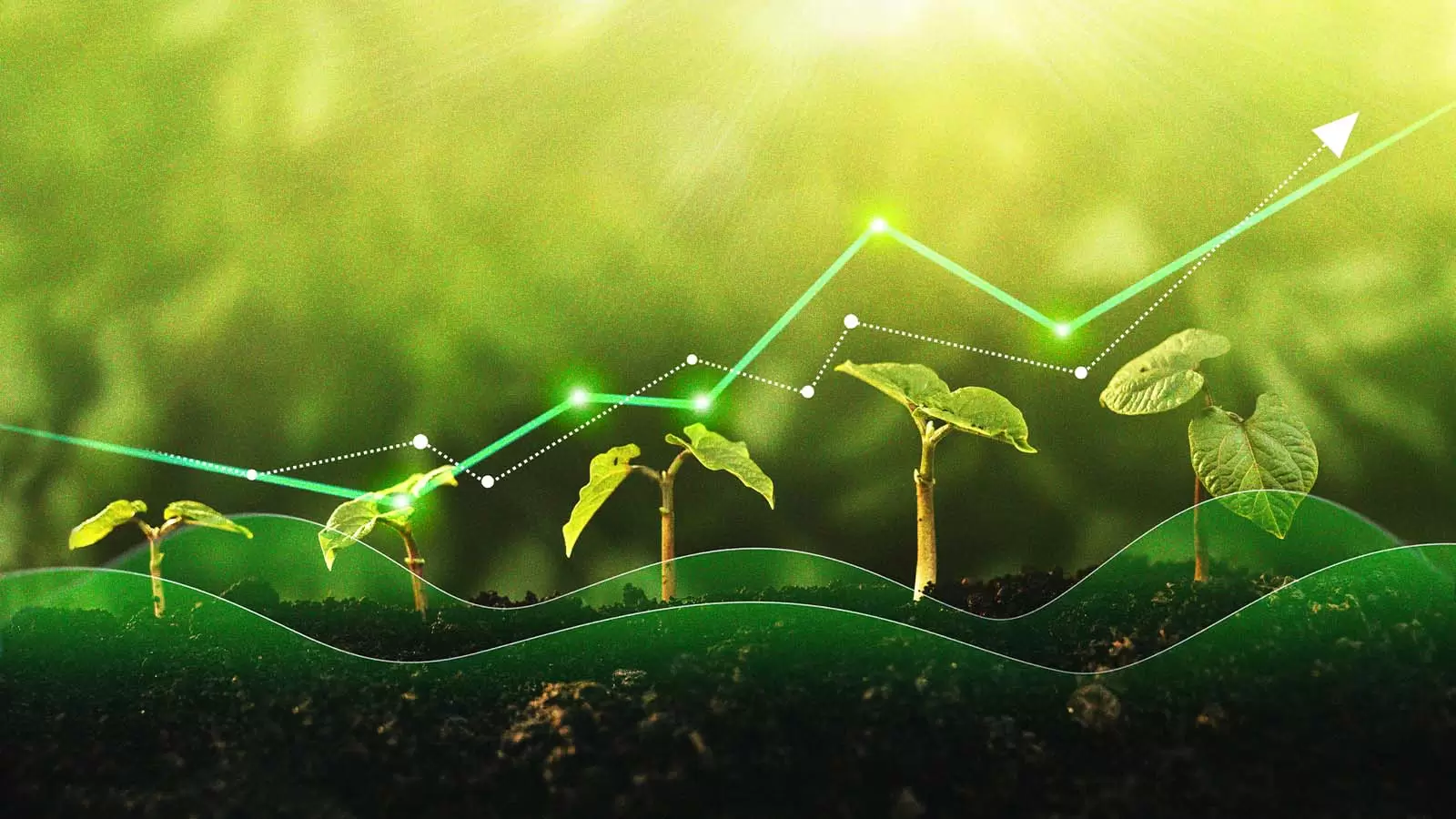 Recuperação do PIB do Agronegócio Brasileiro em 2023