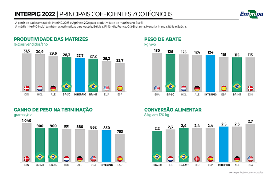 Brasil se destaca com o menor custo de produção de suínos entre 17 países