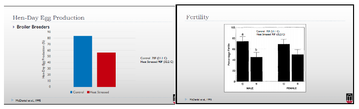 Preparo de granjas para os efeitos do aumento das temperaturas e calor extremo