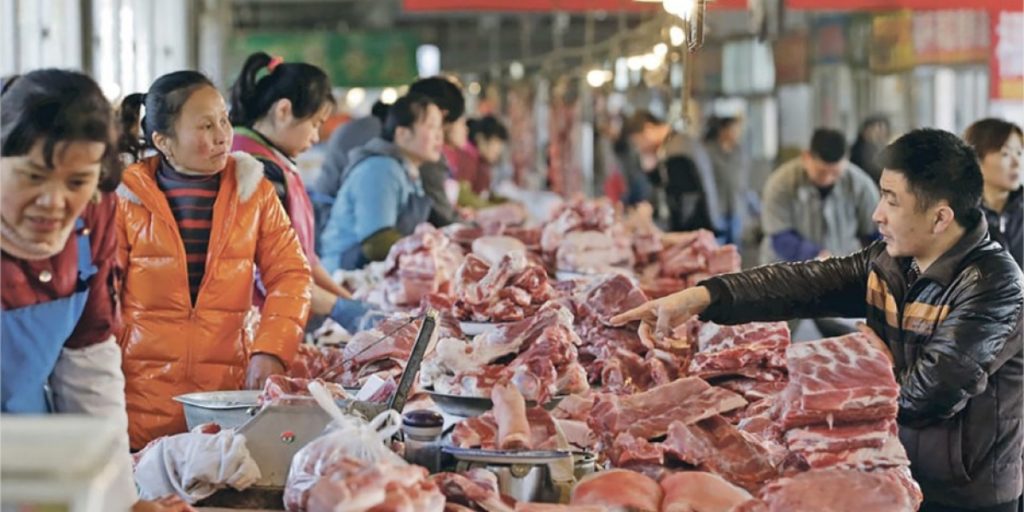 Produção de carne suína na China atinge maior volume em uma década no 3º trimestre de 2024