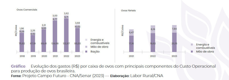 Dia do Ovo: data para celebrar o sabor e o crescimento na produção brasileira