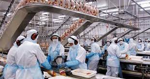 Fechamento de frigoríficos nos EUA gera turbulência na economia de pequenas cidades