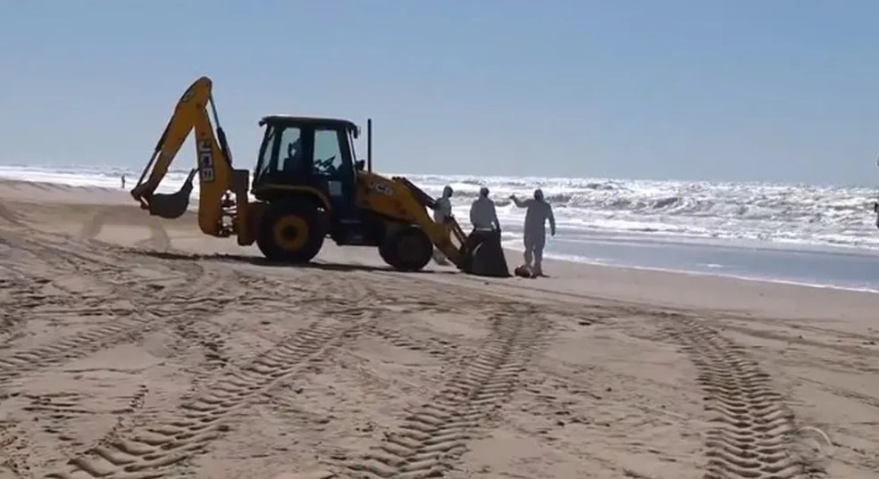 RS tem 375 animais mortos em regiões com foco da gripe aviária neste ano