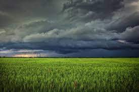 El Niño: entenda a formação e impactos no Brasil até 2024