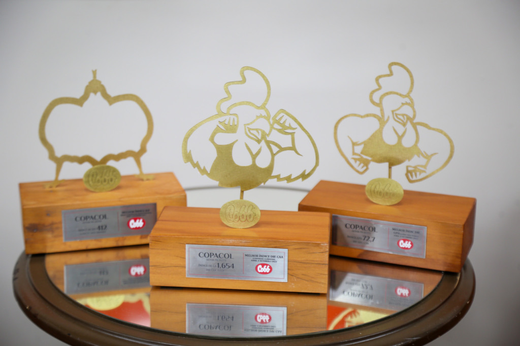 Conquistas da Copacol na avicultura são reconhecidas com prêmios da Cobb