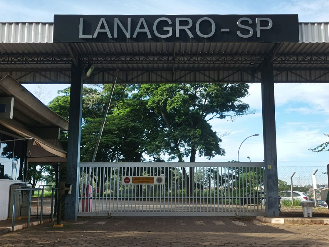 Laboratório em Campinas (SP) é referência para diagnóstico de gripe aviária na América Latina