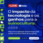 Inobram abordará tecnologia e produtividade na suinocultura em live Inobram abordará tecnologia e produtividade na suinocultura em live