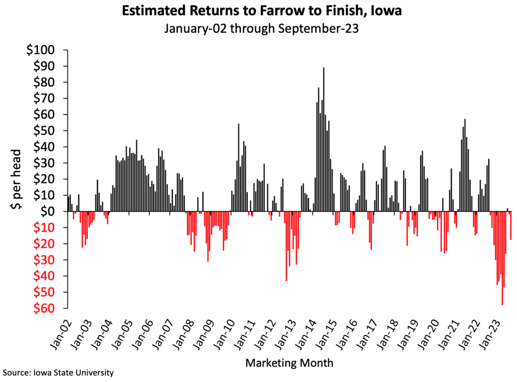 Produção de suínos registra queda de 8% no mercado europeu