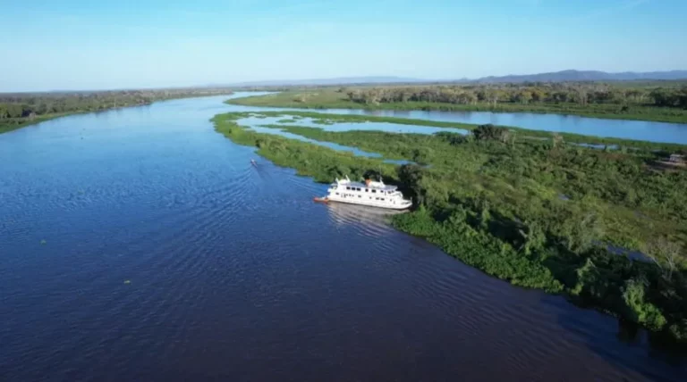 Pantanal e Cerrado: destaques brasileiros  na COP-28 em Dubai