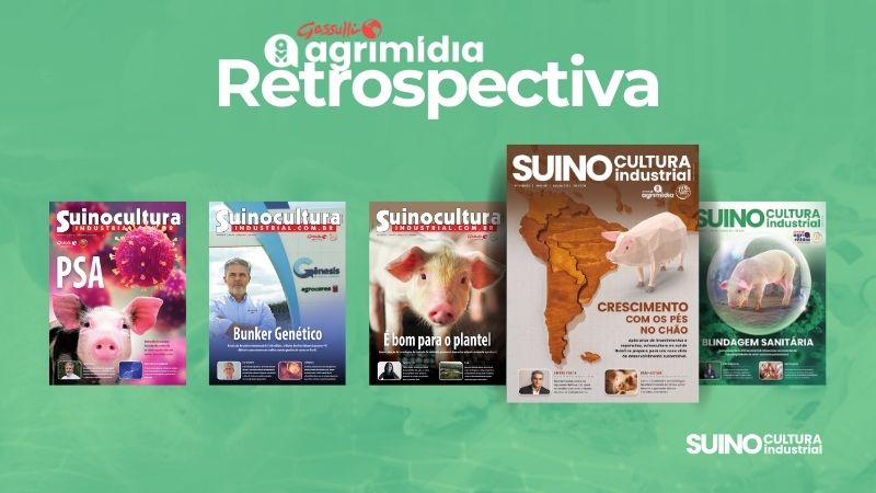 Agosto: suinocultura vive expectativa mais cautelosa para os próximos anos