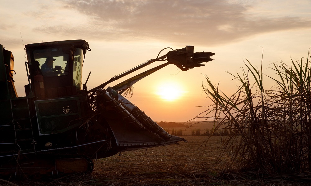 Secretaria de Agricultura de São Paulo propõe reativação da Câmara Setorial de Açúcar, Álcool e Bioenergia Secretaria de Agricultura de São Paulo propõe reativação da Câmara Setorial de Açúcar, Álcool e Bioenergia