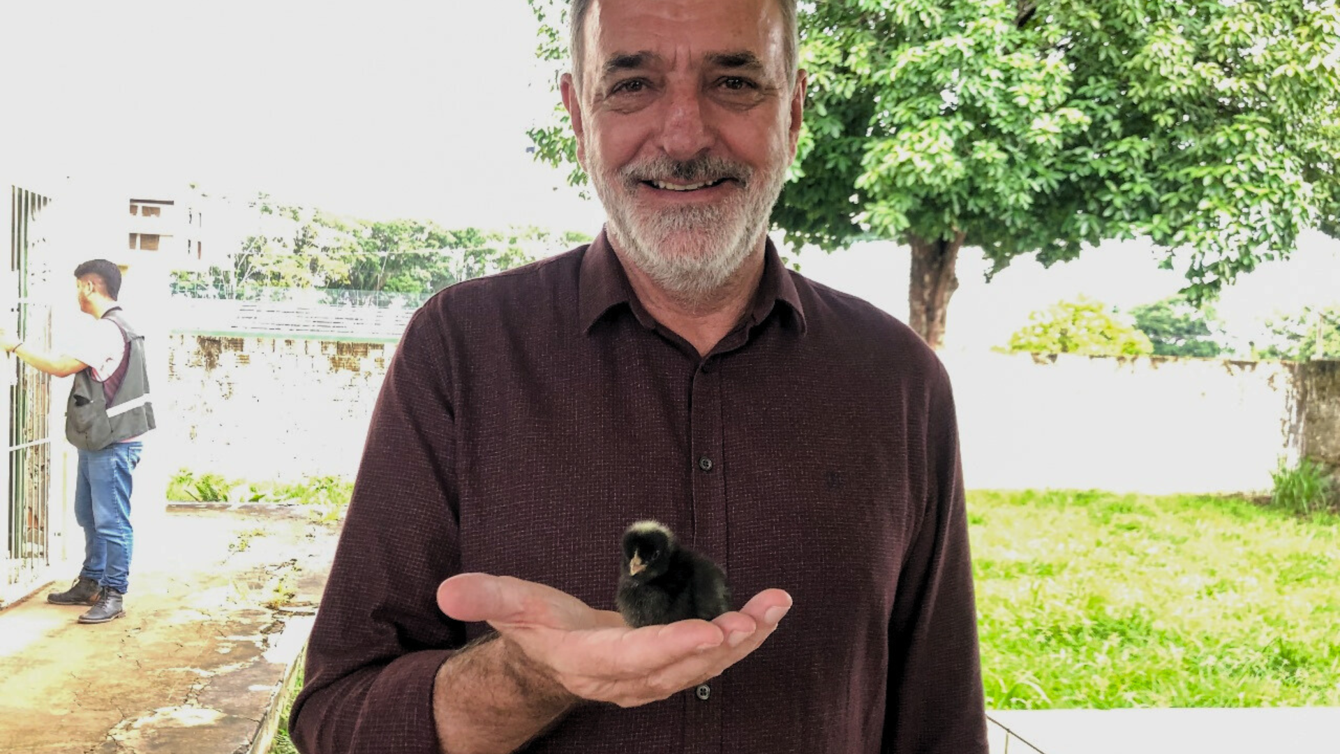 Governo do Acre impulsiona a agricultura familiar por meio da avicultura Governo do Acre impulsiona a agricultura familiar por meio da avicultura